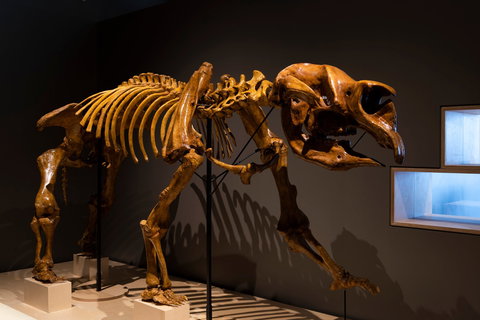 Megafauna Central - Darwin Holiday 1