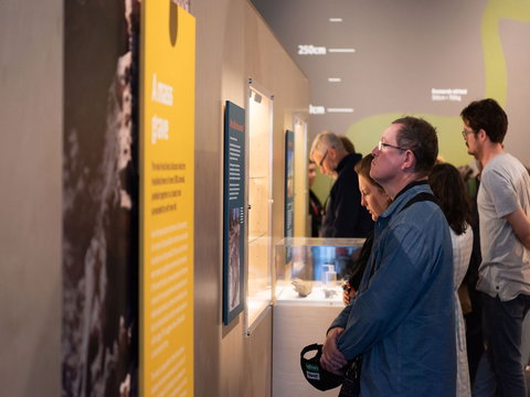 Megafauna Central - Darwin Holiday 2