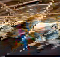 Merry-Go-Round - Darwin Holiday