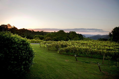 Montville - Darwin Holiday 1