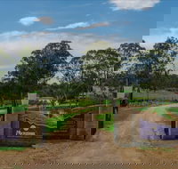 Moorebank Vineyard - Darwin Holiday