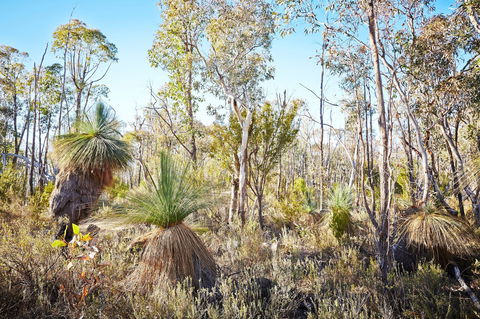 Mt Glenrowan Lookout Walk - Darwin Holiday 2
