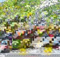 Murdering Point Winery - Darwin Holiday