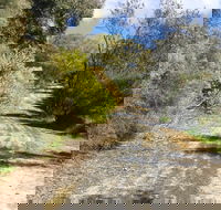 Naracoorte North Nature Park - Darwin Holiday