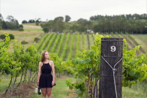 Naturally Luxurious - Great Beach Drive - Darwin Holiday 0