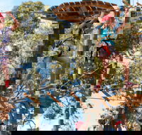 Next Level Monkey Business - Darwin Holiday