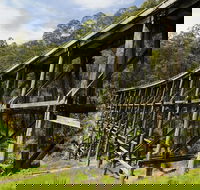 Noojee Trestle Bridge - Darwin Holiday
