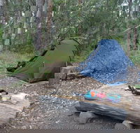 Northbrook Mountain Bush Camp - Darwin Holiday