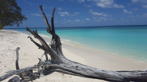 North West Island - Darwin Holiday 0