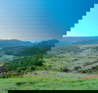 Numinbah Section Springbrook National Park - Darwin Holiday