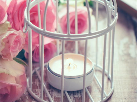 Passionfish Candles - Darwin Holiday 1
