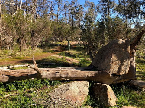 Pine Gully Nature Trail - Darwin Holiday 1