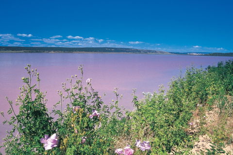 Port Gregory - Darwin Holiday 0