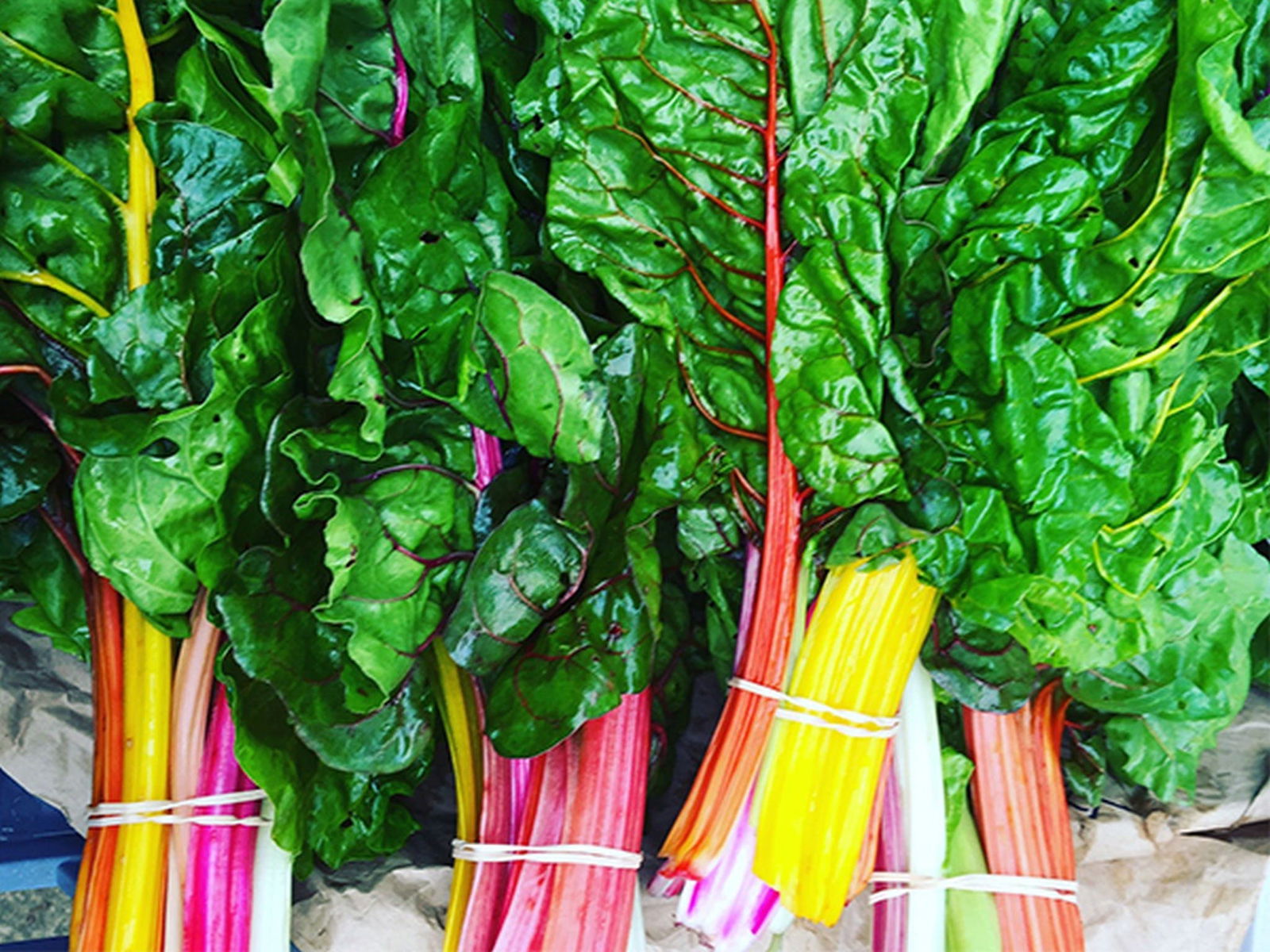 Anambah NSW Darwin Holiday