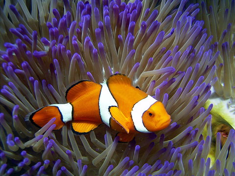 Reef HQ Aquarium - Darwin Holiday 1