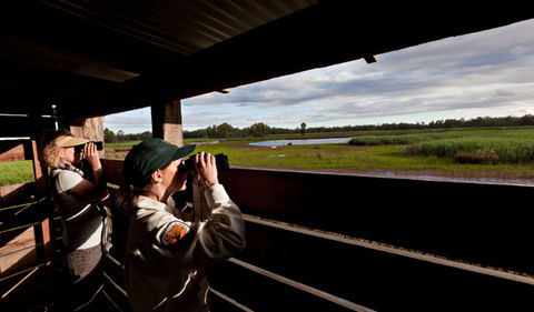 Reed Beds Bird Hide Boardwalk - Darwin Holiday 0