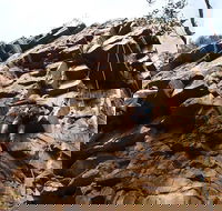 Rock Climbing in Morialta - Darwin Holiday