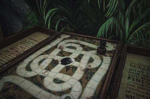 Rush Escape Game - Darwin Holiday 1