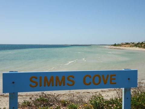 Simms Cove Lookout And Beach, Moonta Bay - Darwin Holiday 0