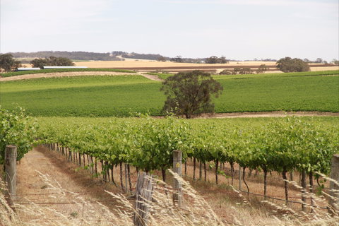 Smidge Wines Tasting Room - Darwin Holiday 0