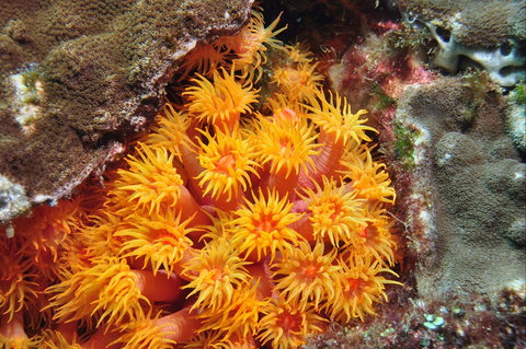 Sunshine Reef - Darwin Holiday 1