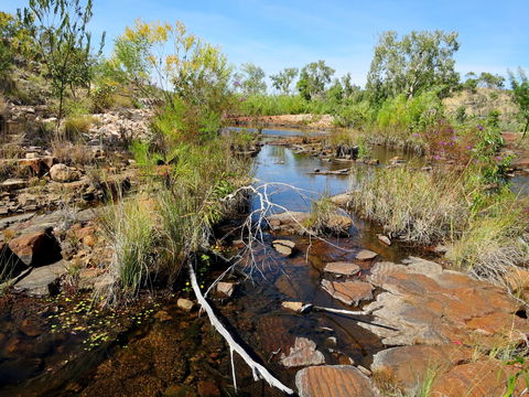 Sweetwater Pool - Darwin Holiday 1
