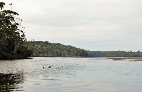 Tabourie Lake - Darwin Holiday 0