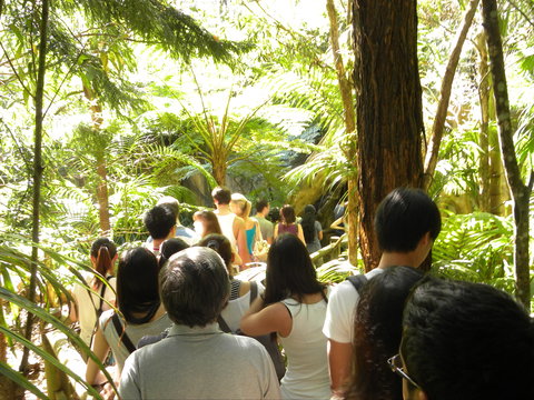 Tamborine Mountain Glow Worm Tours - Darwin Holiday 1