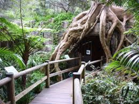 Tamborine Mountain Glow Worm Tours - Darwin Holiday 2
