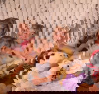 Tambo Teddies - Darwin Holiday