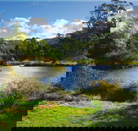 Tasmanian Arboretum Inc. - The - Darwin Holiday