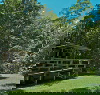 Terania Creek Picnic Area - Darwin Holiday