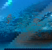 The Zanoni Wreck - Darwin Holiday