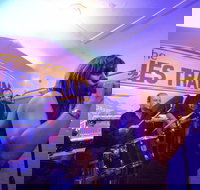 The Blues Train - Darwin Holiday