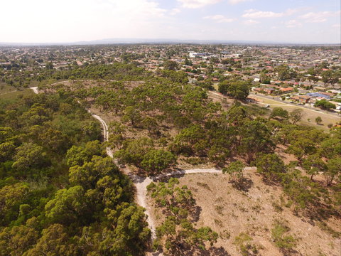 The Pines Flora And Fauna Reserve - Darwin Holiday 0