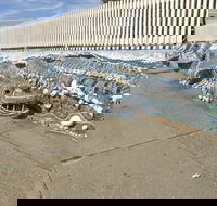 The Nambucca Heads Mosaic - Darwin Holiday