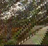 The Briars Park Walking Trails - Darwin Holiday