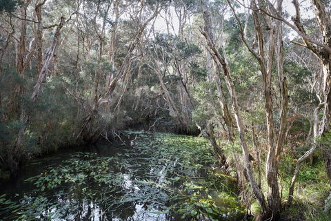 The Briars Park Walking Trails - Darwin Holiday 2