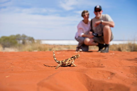 Tnorala (Gosse Bluff) Conservation Reserve - Darwin Holiday 2