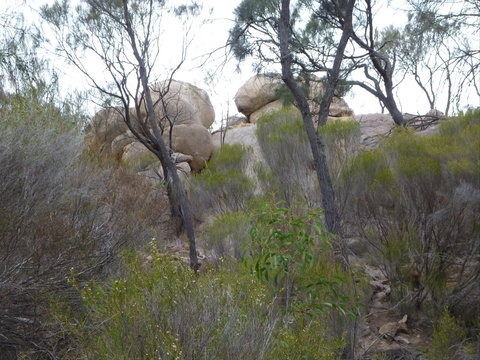 Tolmer Rocks - Mount Boothby Conservation Park - Darwin Holiday 0