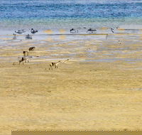 Towra Beach - Darwin Holiday