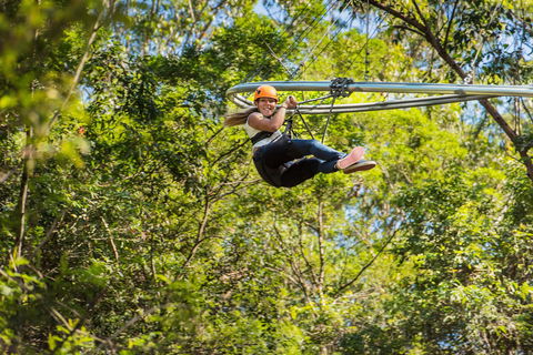 TreeTop Crazy Rider - Darwin Holiday 0