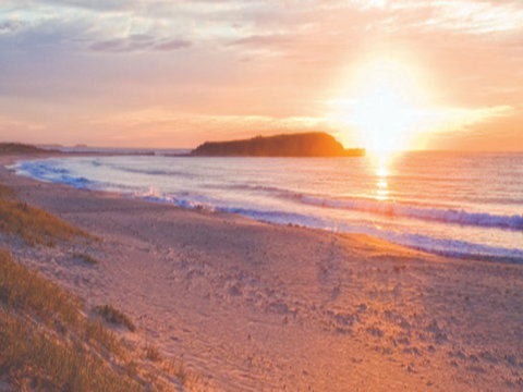 Warilla Beach: Shellharbour - Darwin Holiday 0