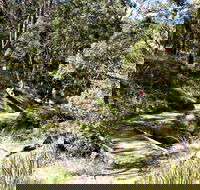 Wollomombi Walking Track - Darwin Holiday