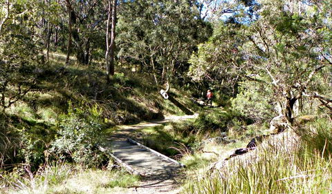 Wollomombi Walking Track - Darwin Holiday 0