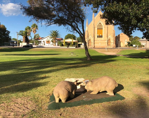 Wombat Statues, Moonta - Darwin Holiday 2