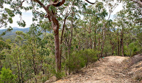 Yango Walking Track - Darwin Holiday 0
