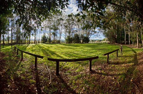 Aboriginal Bora Ring - Darwin Holiday 0