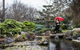 Adelaide Himeji Garden - thumb 2