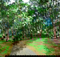 Adungadoo Pathway - Darwin Holiday